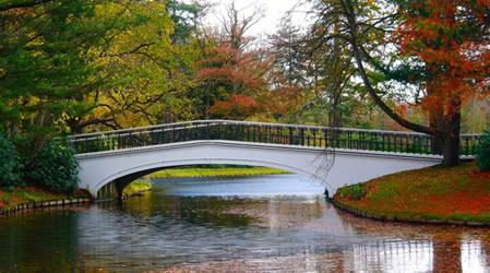 bridge over water in a park